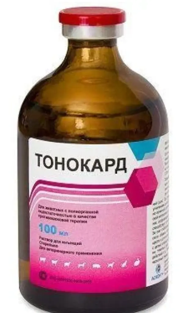 Тонокард 100 мл ( Асконт + )