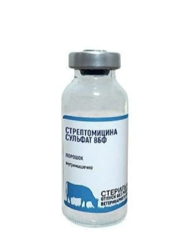 Стрептомицин 1гр ВБФ