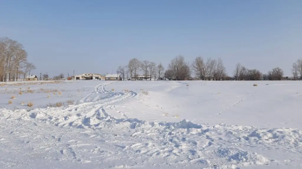 Животноводческий комплекс