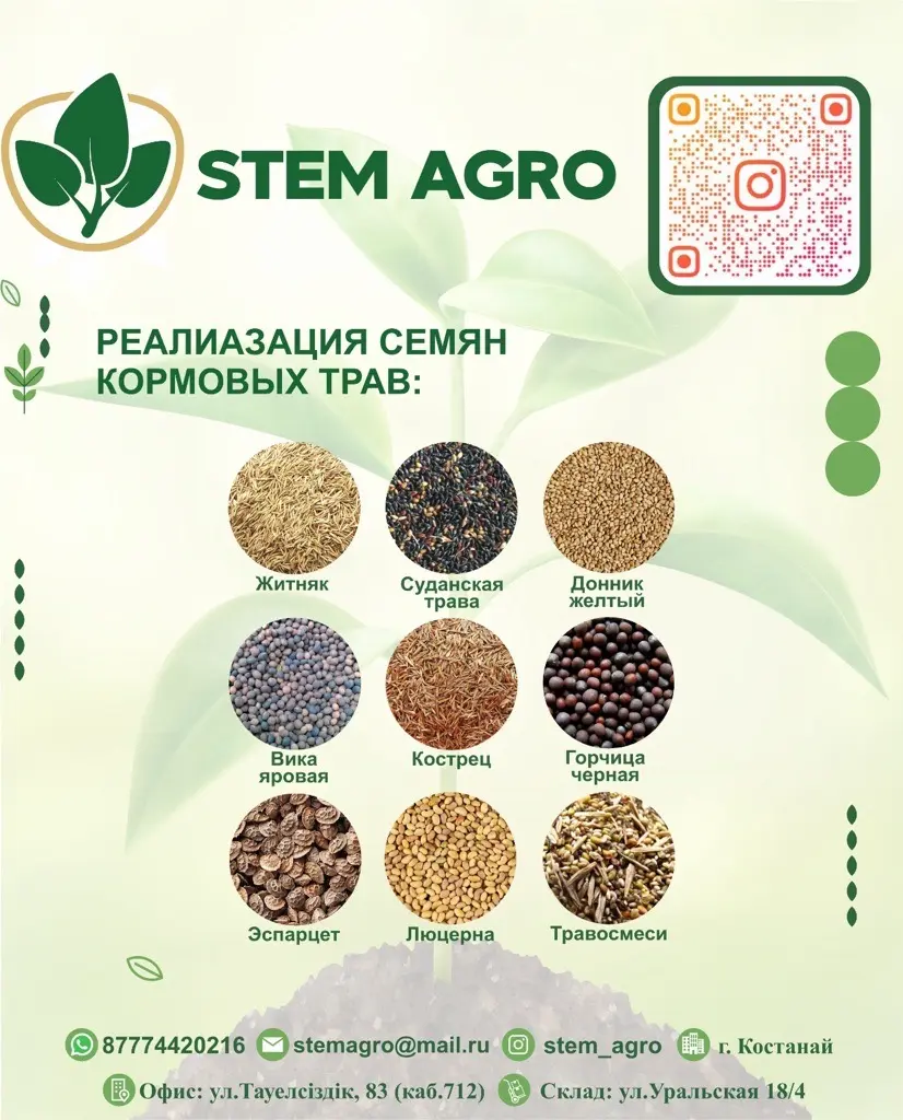 Семена кормовых трав