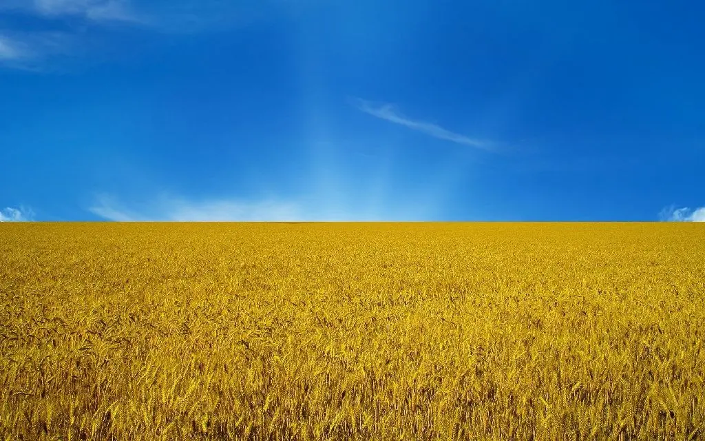 Ищу спонсора