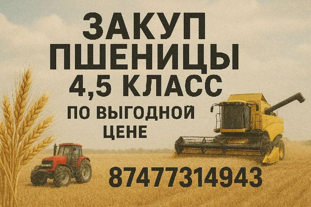 Куплю пшеницу 4класс