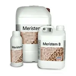Удобрения Meristem B (Меристем В) - 1 литр 5