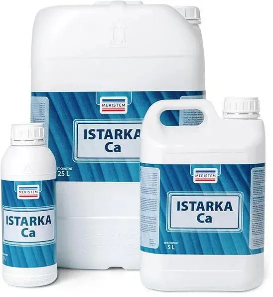 Полифлавоноиды Istarka Fe (Истарка Фе) - 1 литр