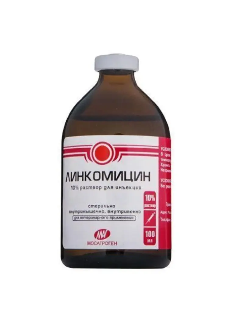 Линкомицин 10 % 100 мл