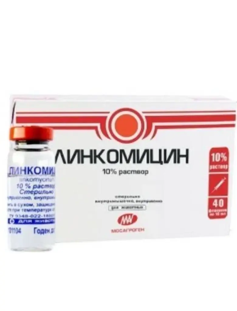 Линкомицин 10 % 10 мл
