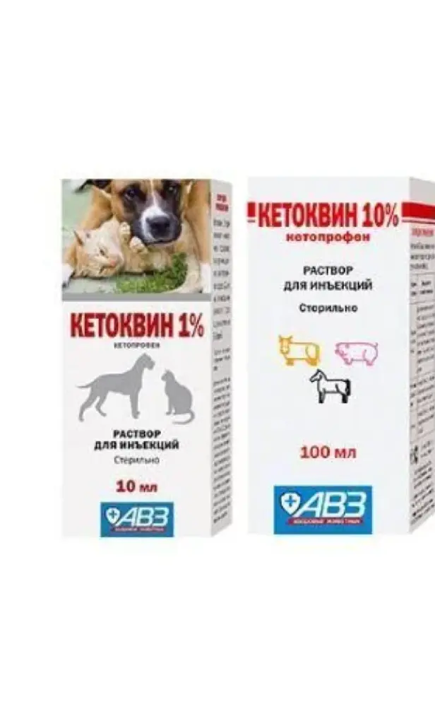 Кетоквин 1 % 10 мл