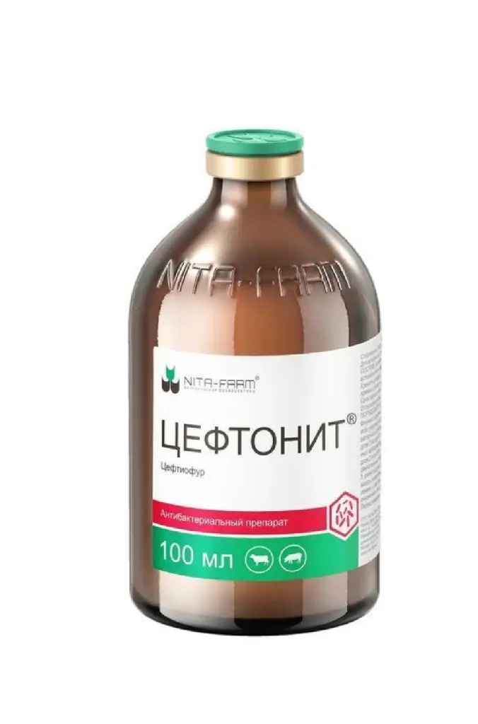 Цефтонит 100 мл