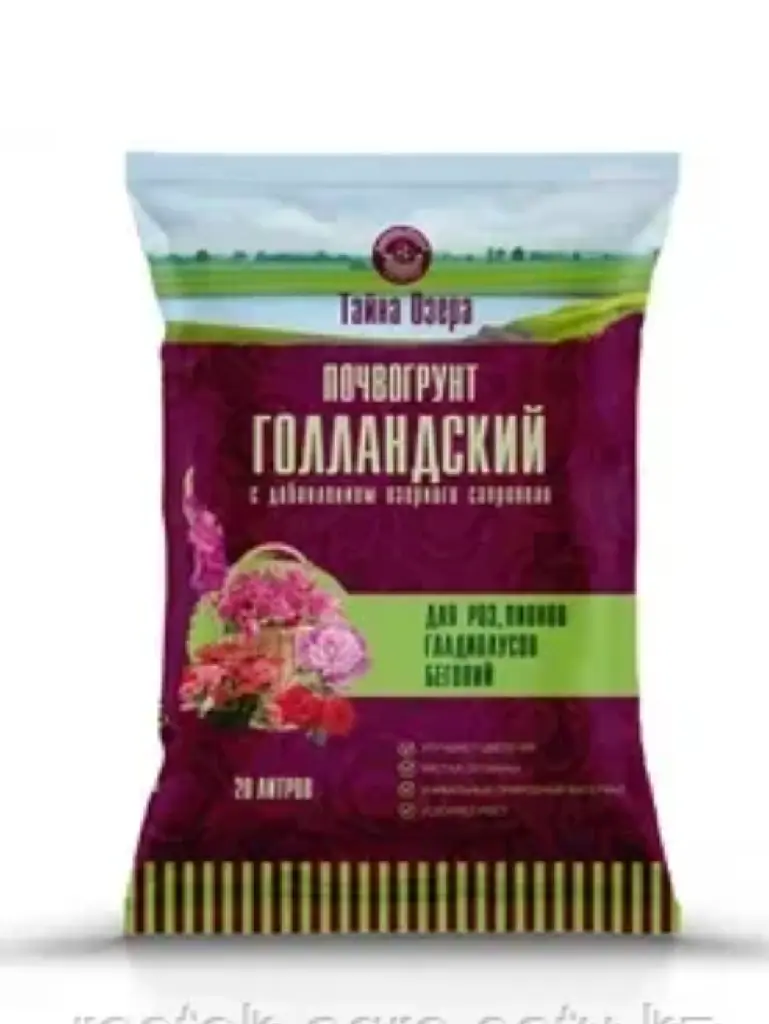 Тайна озера - "Голландский" для роз