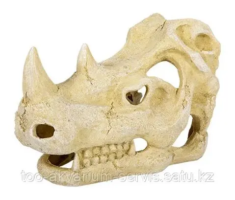 Repti-Zoo ERS35M Череп носорога, средний
