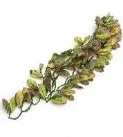 РАСТЕНИЕ ДЛЯ ТЕРРАРИУМА REPTI-ZOO Var marginatum 50CM TP006 20В
