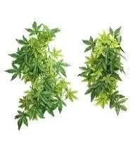 РАСТЕНИЕ ДЛЯ ТЕРРАРИУМА REPTI-ZOO Banyan leaves 40CM TP002 16