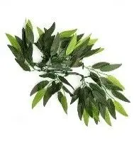 РАСТЕНИЕ ДЛЯ ТЕРРАРИУМА REPTI-ZOO Heternanthera zosterifolia 30CM TP001 12