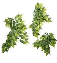 РАСТЕНИЕ ДЛЯ ТЕРРАРИУМА REPTI-ZOO Var marginatum 30CM TP00612