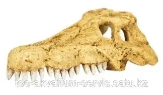 ЧЕРЕП КРОКОДИЛА REPTI-ZOO CROCODILE SKULL ERS34L