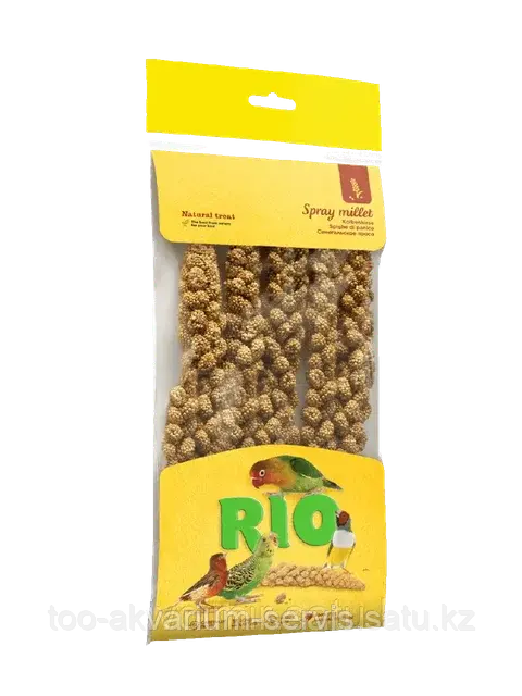 Сенегальское просо в колосьях RIO