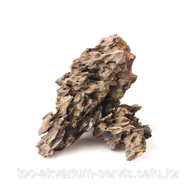 Камень декоративный Дракон