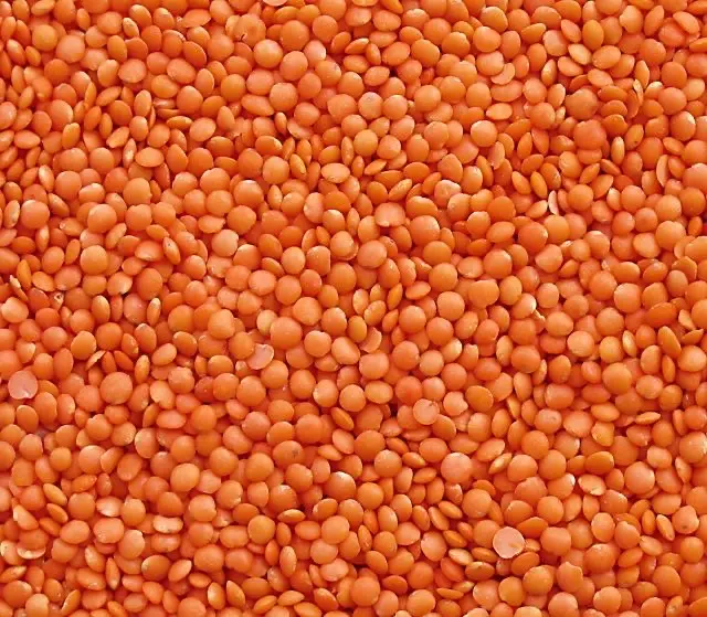 Чечевица готовая продукция