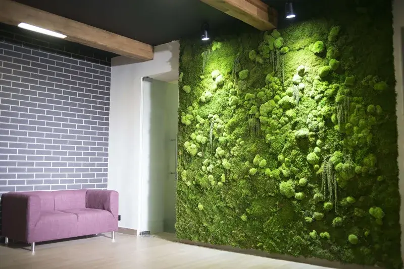 Озеленение мхом