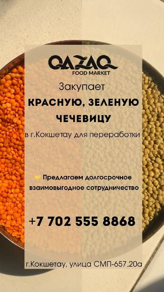 Закупаем зелёную и красную чечевицу