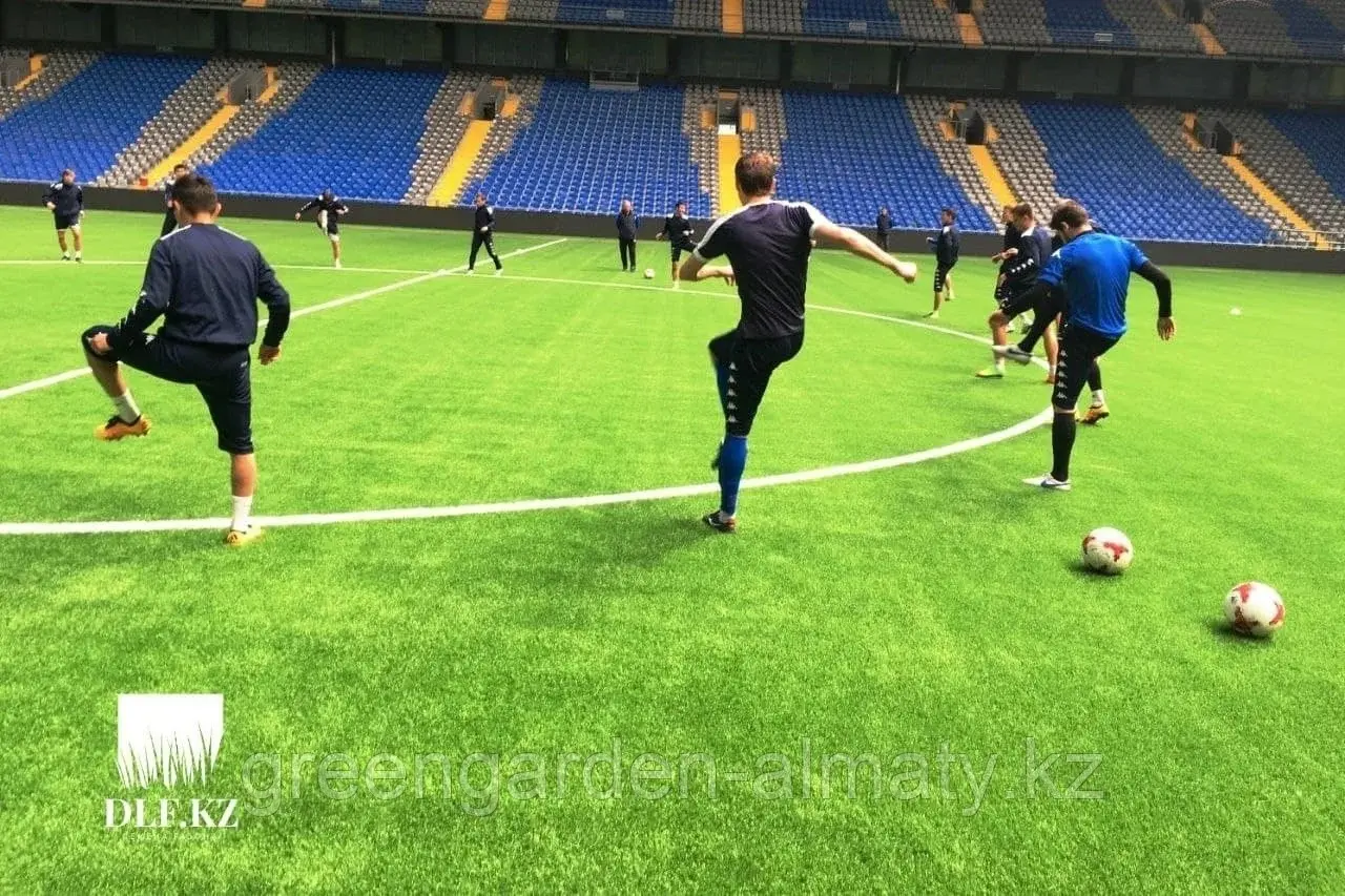 Семена газонной травы SPORT(для спортивных площадок) 1 кг | DLF