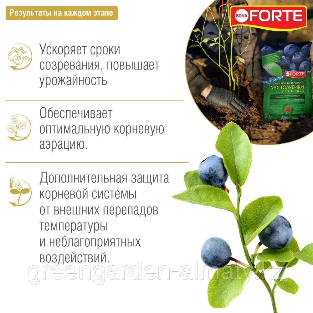 Bona Forte Грунт для голубики и лесных ягод, 20л