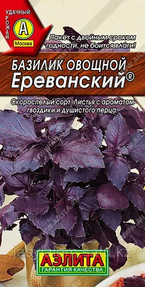 Базилик фиолетовый Ереванский