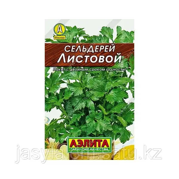 Сельдерей листовой