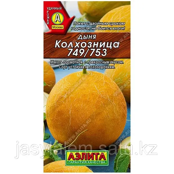Дыня Колхозница