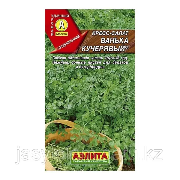 Кресс-салат Ванька-кучерявый