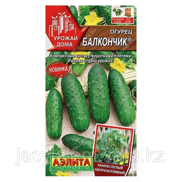 Огурец Балкончик