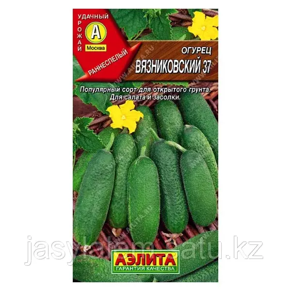 Огурец Вязниковский 37