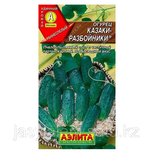 Огурец Казаки-разбойники