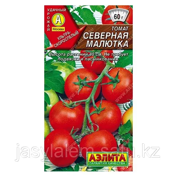 Томат Северная малютка