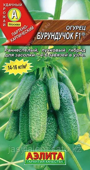Огурец Бурундучок F1