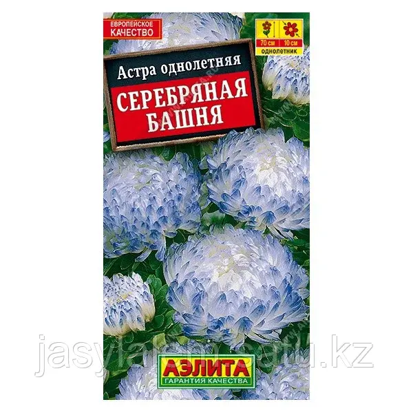 Астра Серебряная башня