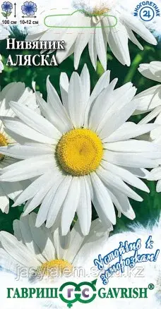 Нивяник Аляска, 0,1г, Гавриш, Устойчив к заморозкам
