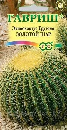 Эхинокактус Грузона Золотой шар, 5шт, Гавриш, Цветочная коллекция