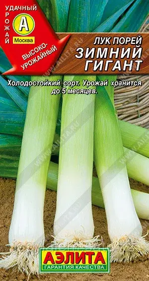 Лук Порей Зимний Гигант АЭЛИТА
