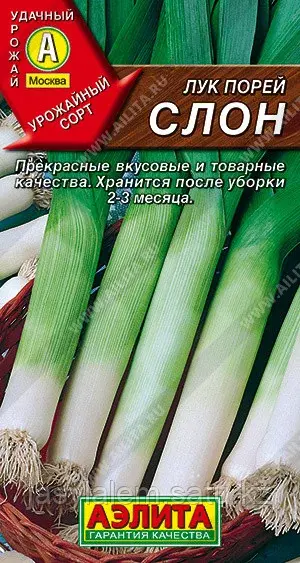 Лук Порей Слон Аэлита