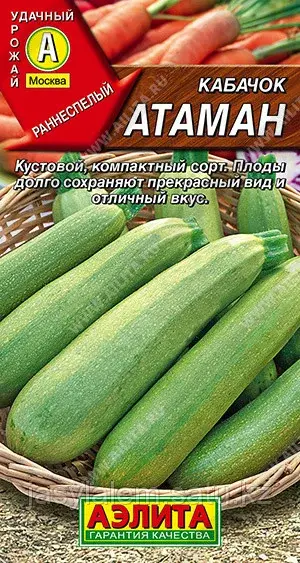 Кабачок-Цуккини Атаман Аэлита