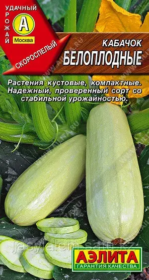 Кабачок белоплодные