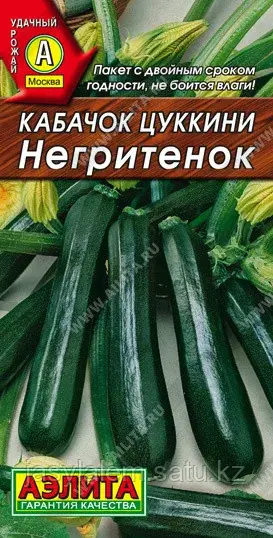 Кабачок-цуккини Негритенок