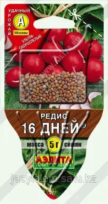 Редис 16 дней