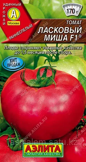 Томат Ласковый Миша F1