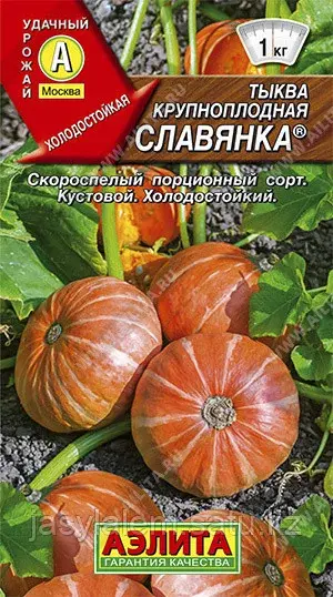 Тыква крупноплодная Славянка