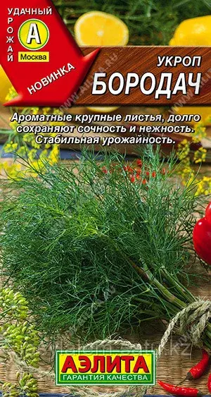 Укроп Бородач