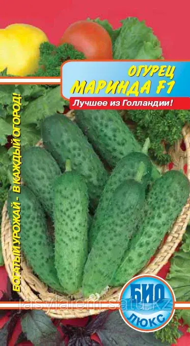 Огурец Маринда F1(10шт) Голландия