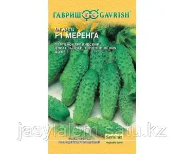 Огурец Меренга F1 8 шт. (Голландия) Н14