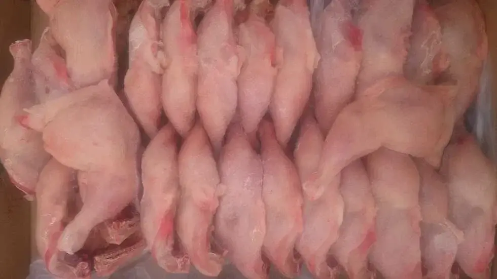 Окорочка куриные Алель Агро